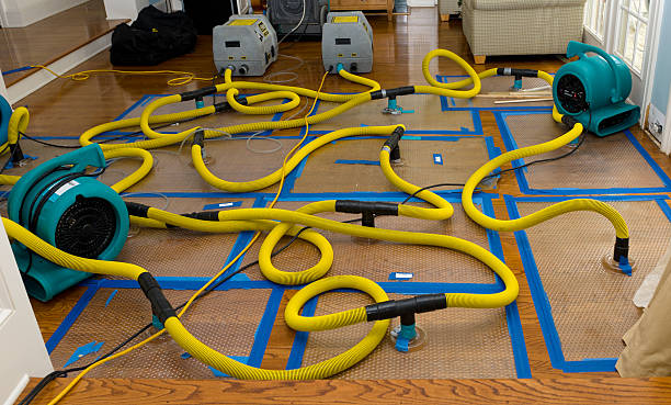 Professional Sewage Cleanup technician working in Rindge, NH
